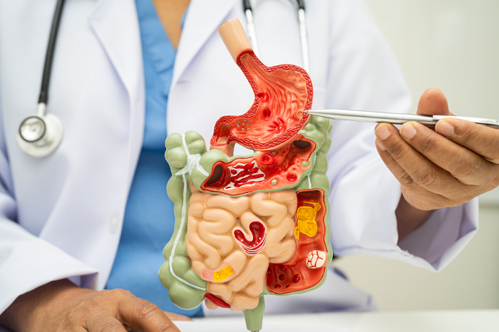 Naturally Healed Digestive System